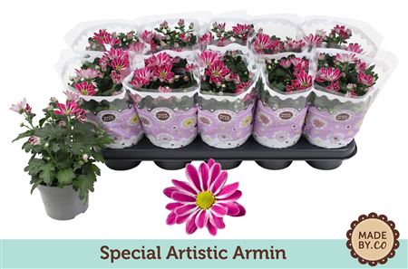 Chrys Special Artistic Armin