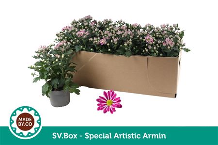Chry Special Artist Armin In Sv.box