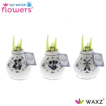 Hipp Wax Delft's Blue