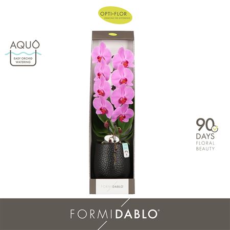 Phal Formidablo Havasu Falls Ceramic Black (opti)