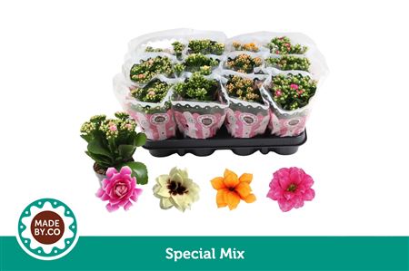 Kal Ros Mix Special