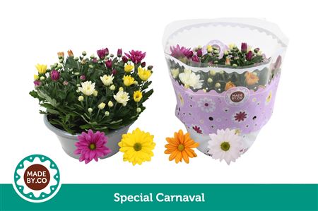 Chrys Carnaval