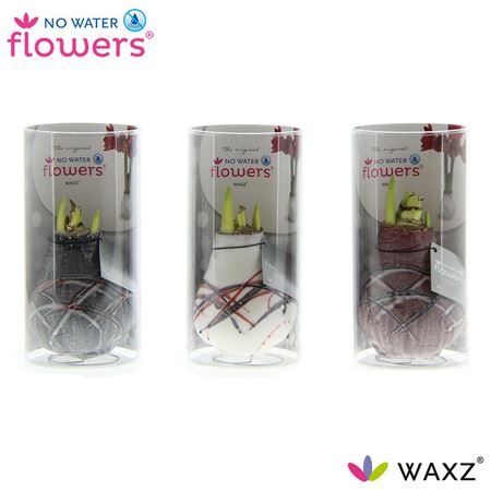 Hipp Wax Art Van Gogh Mix In Tube