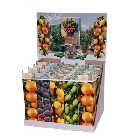 Plant Mix Mediterranean