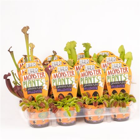 Little Monster Plants Halloween