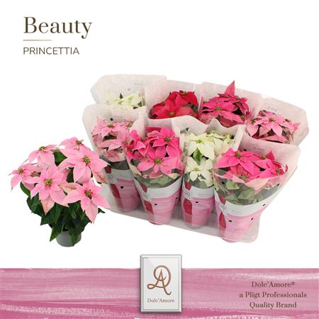 Princettia Mix (dolc'amore)