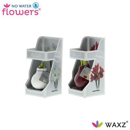 Hipp Wax Mix In Box