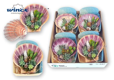 Uniqueshells 'pecten