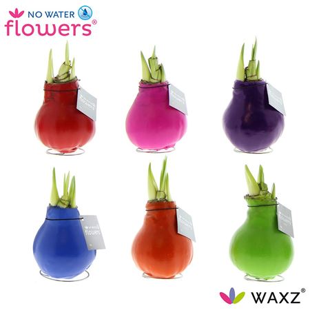 Hipp Wax Mix
