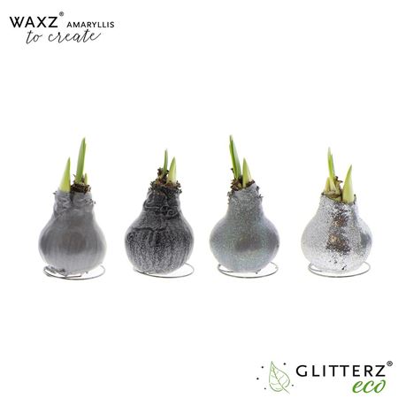Hipp Wax To Create Silver