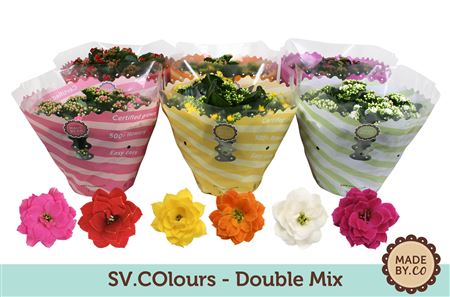 Kal Double Mix Bowl