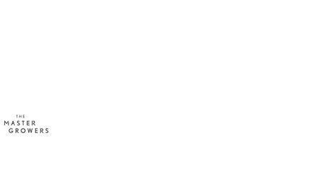 Hydrangea Ma Campino Blue 9+