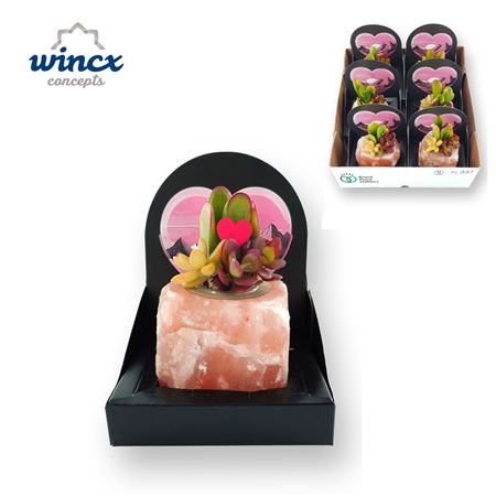 Concepts® - Himalayan Salt Crystal Concepts®