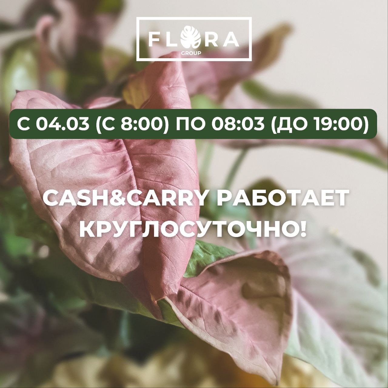 CASH&CARRY работает круглосуточно