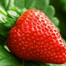 Земляника Эставана