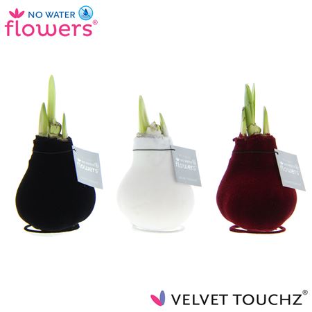 Hipp Wax Velvet Classic Mix