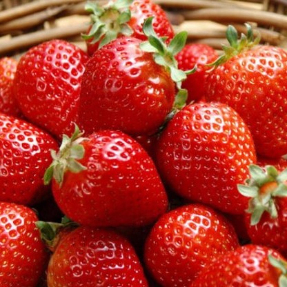 Земляника Кимберли