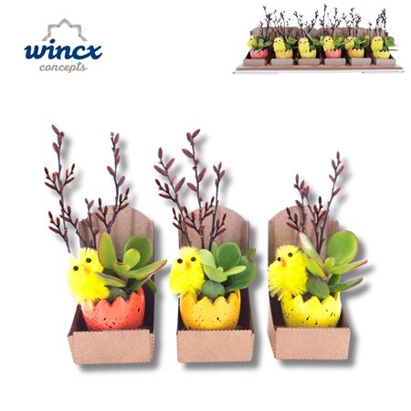 Concepts® - Easter Dobbel Concepts®