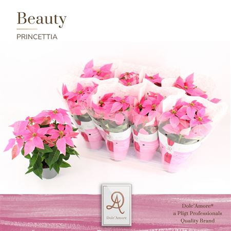 Princettia Hot Pink (dolc'amore)