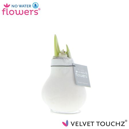 Hipp Wax Velvet White