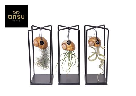 Deep Seashelly Mix In Design Frame Cube (small)