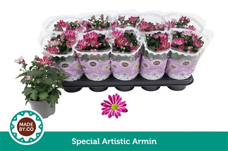 Chrys Special Artistic Armin
