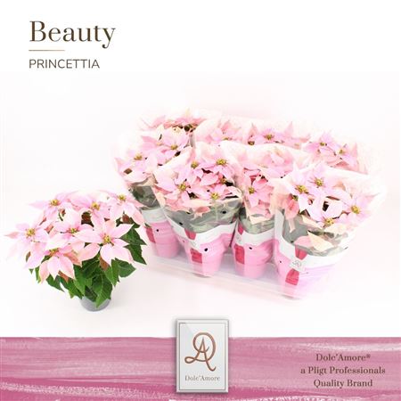 Princettia Pink (dolc'amore)