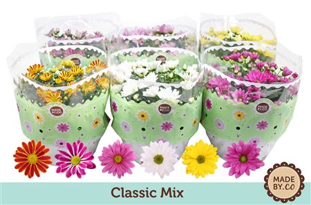 Chrys Classic Mix