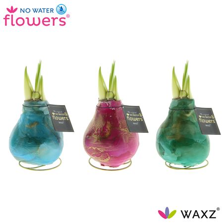 Hipp Wax Univerz Saturnus