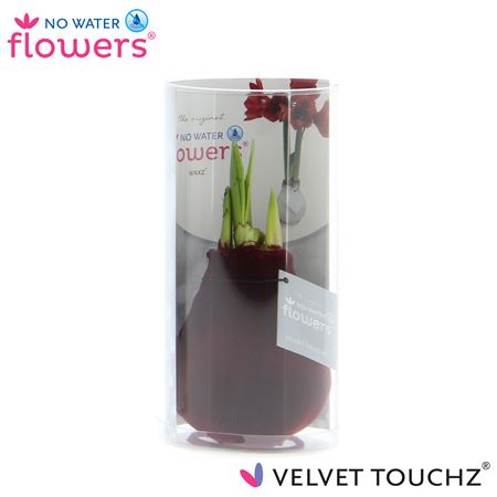 Hipp Wax Velvet Bordeaux In Tube