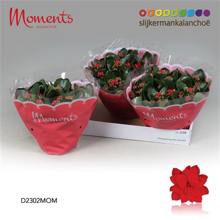 Kal Cal Moments Red
