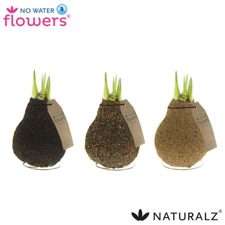 Hipp No Water Flowers Naturalz Corkz Mix