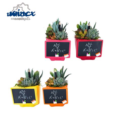 Concepts® - Study Buddy Succulents