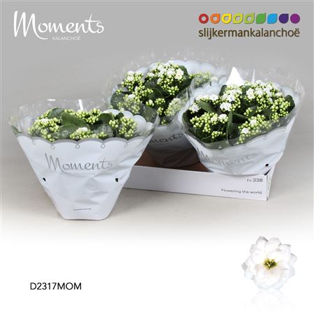 Kal Moments White
