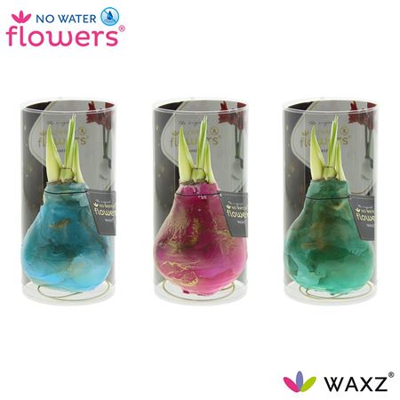 Hipp Wax Universe Saturnus Mix In Tube