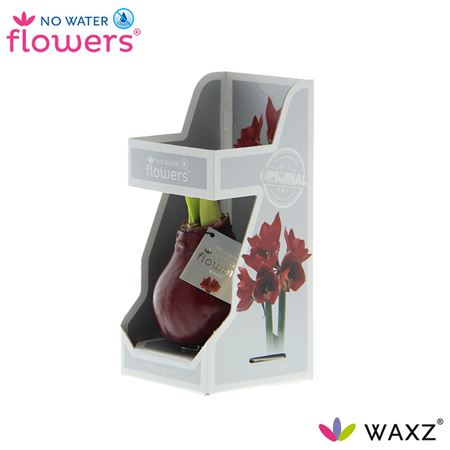 Hipp Wax Bordeaux In Gift Box