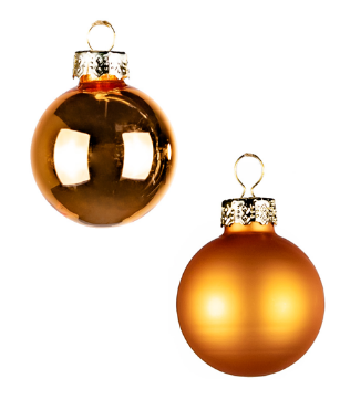 Можжевельник скальный Блю Арроу (ком)