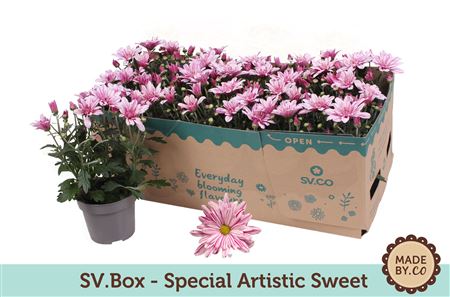 Chrys Special Artistic Sweet In Sv.box