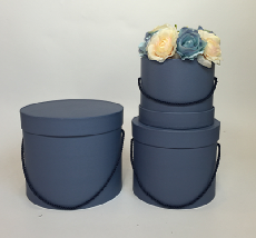 Рододендрон гибридный Никодемус