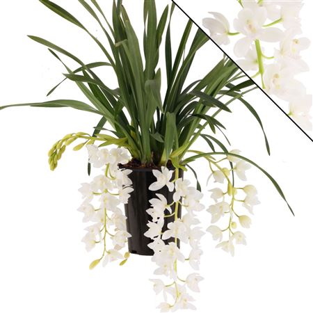 Cymb Cascade Ice 3-4st