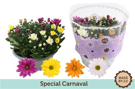 Chrys Carnaval