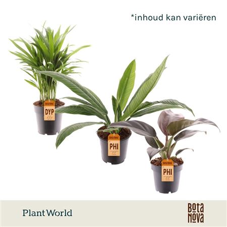Plantmix Island Saver