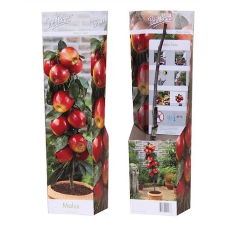 Malus Dom Gala