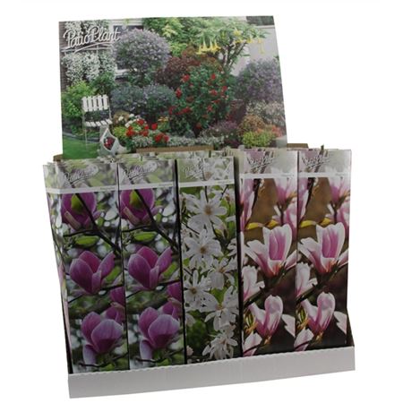 Magnolia Mix