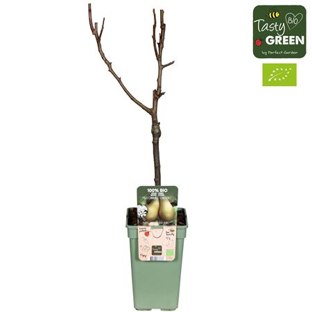 Pyrus Comm Conference Bio