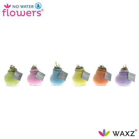 Hipp Wax Pastel Mix