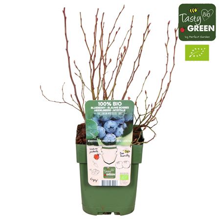 Вакциниум Миртиллус Эмиль Био