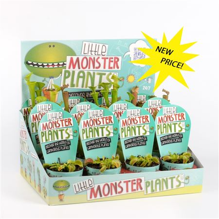 Little Monster Plants In Dislaydoos
