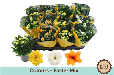 Kal Cal Easter Mix