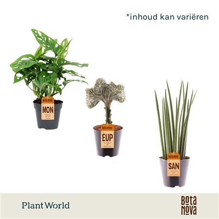 Plantmix Botanical